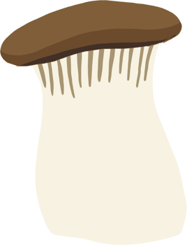 doodle freehand sketch drawing of king trumpet mushroom. png