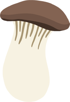 doodle freehand sketch drawing of king trumpet mushroom. png