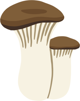 doodle freehand sketch drawing of king trumpet mushroom. png