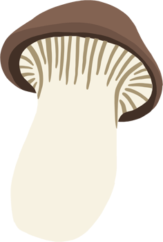 doodle freehand sketch drawing of king trumpet mushroom. png
