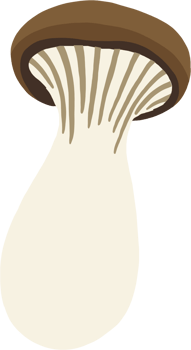 doodle freehand sketch drawing of king trumpet mushroom. png