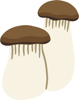 doodle freehand sketch drawing of king trumpet mushroom. png