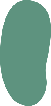 Abstract Organic Shape Vector Illustration png