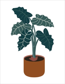 Green alocasia houseplant in pot vector illustration