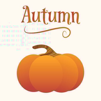 Autumn, Harvest, or Fall holiday vector card illustration graphic