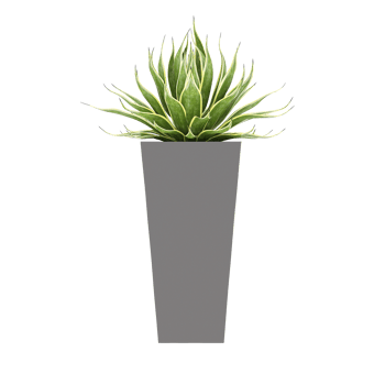 3D illustration green plant in pot png