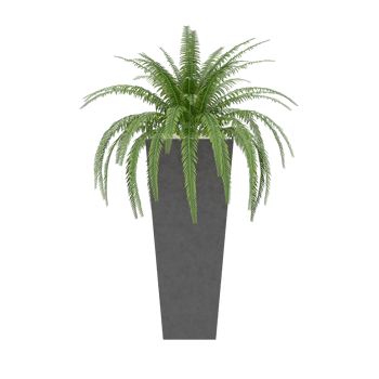 3D illustration green plant in pot png