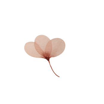 Watercolor vintage pink flower png