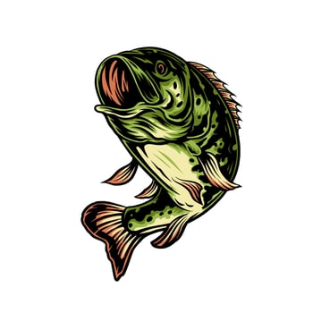 Bass Fish hand drawn line style with digital color, vector illustration