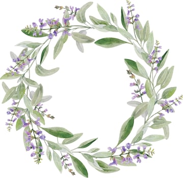 Watercolor botanical illustration of sage leaves and flowers vector