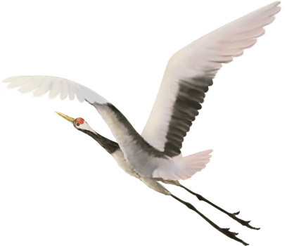 red crowned crane paint png