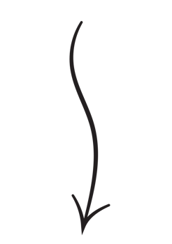 Line art arrow with black thin line. PNG with transparent background.