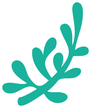 Plant decoration. PNG with transparent background.
