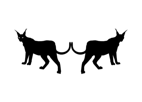 Pair of the Caracal Cat Silhouette for Logo, Pictogram, Website or Graphic Design Element. Vector Illustration