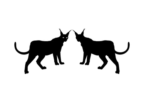 Pair of the Caracal Cat Silhouette for Logo, Pictogram, Website or Graphic Design Element. Vector Illustration