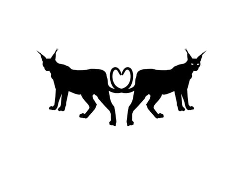Pair of the Caracal Cat Silhouette for Logo, Pictogram, Website or Graphic Design Element. Vector Illustration