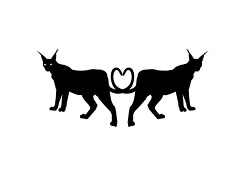 Pair of the Caracal Cat Silhouette for Logo, Pictogram, Website or Graphic Design Element. Vector Illustration