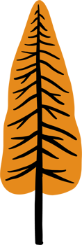 simplicity pine tree freehand drawing flat design. png
