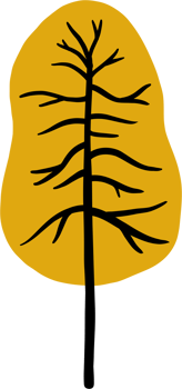 simplicity pine tree freehand drawing flat design. png