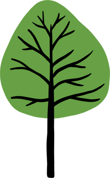simplicity pine tree freehand drawing flat design. png