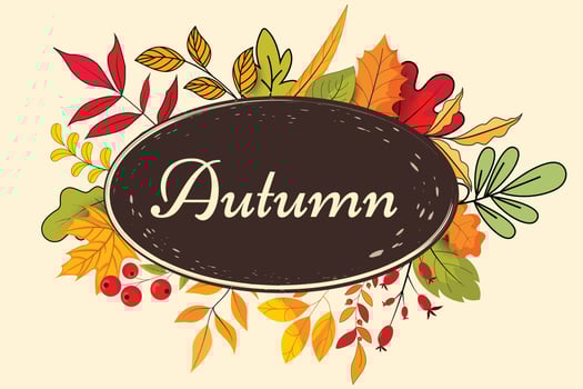 Autumn label banner with seasonal fall leaves background vector