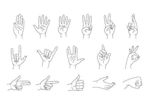 Hands poses vector set. Various hand gestures line art. Vector illustration isolated on white