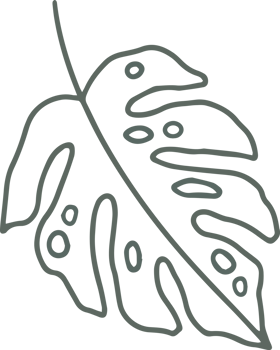 summer tropical leaf png
