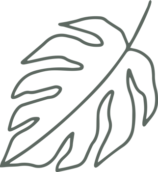 summer tropical leaf png