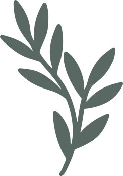 summer tropical leaf png