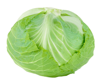 green cabbage isolated png