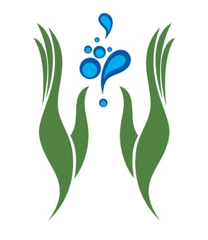 Eco element. Floral design vector