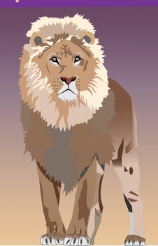 African Male Lion in vector