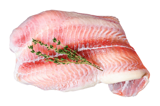 raw fillet of white fish catfish png