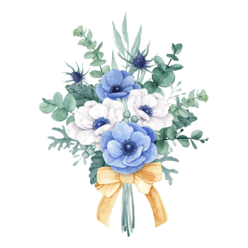 Flower and Leaf Illustration png