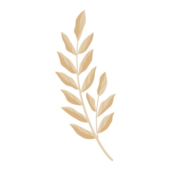 Flower and Leaf Illustration png