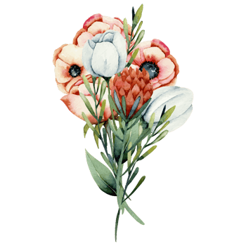 Flower and Leaf Illustration png