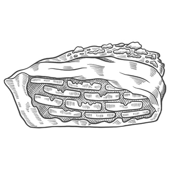 banoffee pie british or england and dessert snack isolated doodle hand drawn sketch with outline style vector