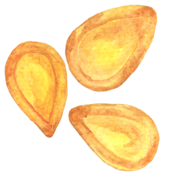 Watercolor pumpkin seeds png