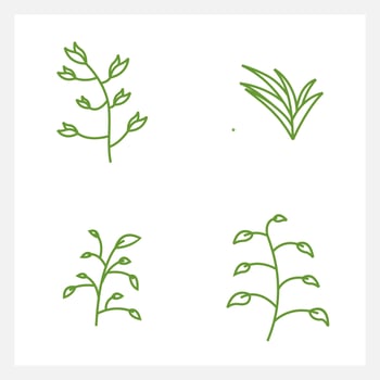 Hand drawn Set of leaf line art vector