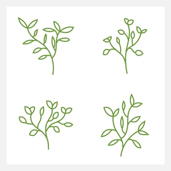 Hand drawn Set of leaf line art vector