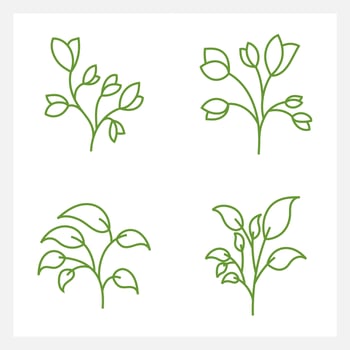 Hand drawn Set of leaf line art vector