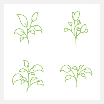 Hand drawn Set of leaf line art vector