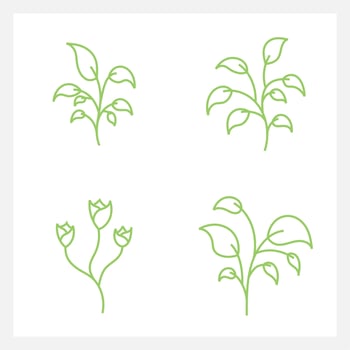 Hand drawn Set of leaf line art vector