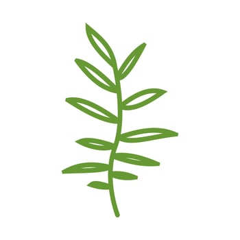 Hand drawn of leaf line art vector