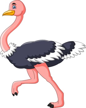 Cartoon Cute ostrich cartoon running vector