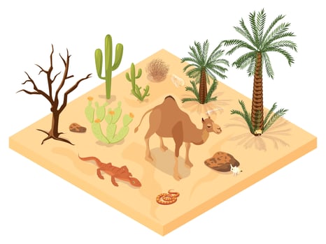 Desert Landscape Isometric Illustration vector