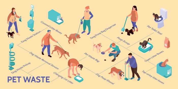 Cleaning Pets Poop Flowchart vector