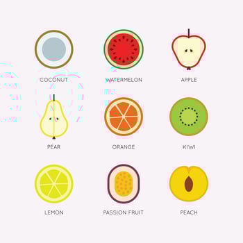 Flat Colorful Fruit Icons vector