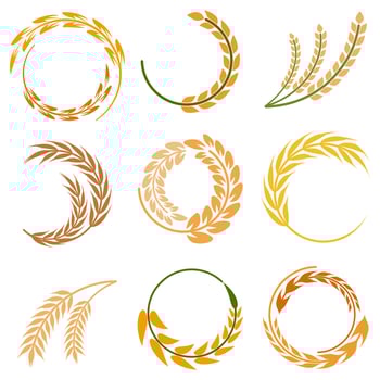 Rice logo collection. Wheat Logo. Vector illustration