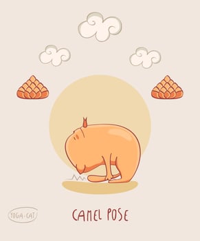 Red Yoga Cat in Camel pose vector